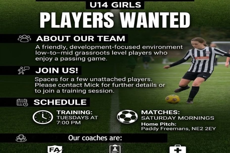 HS Reds Players Wanted